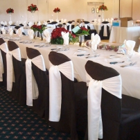 Chair Back Covers