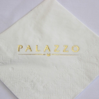 2-Ply Serviettes - Image 4