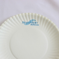 Paper Plates - Image 4